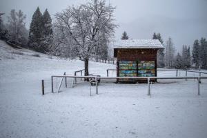 Jasim Suljanović: Čebelnjak 2, 2. nagrada